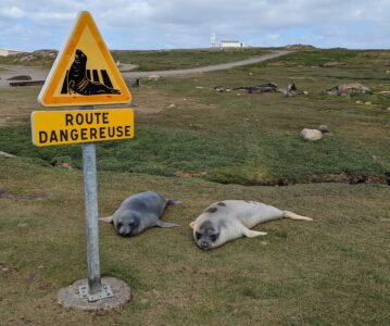 Premiers jours à Kerguelen : Décembre 2023