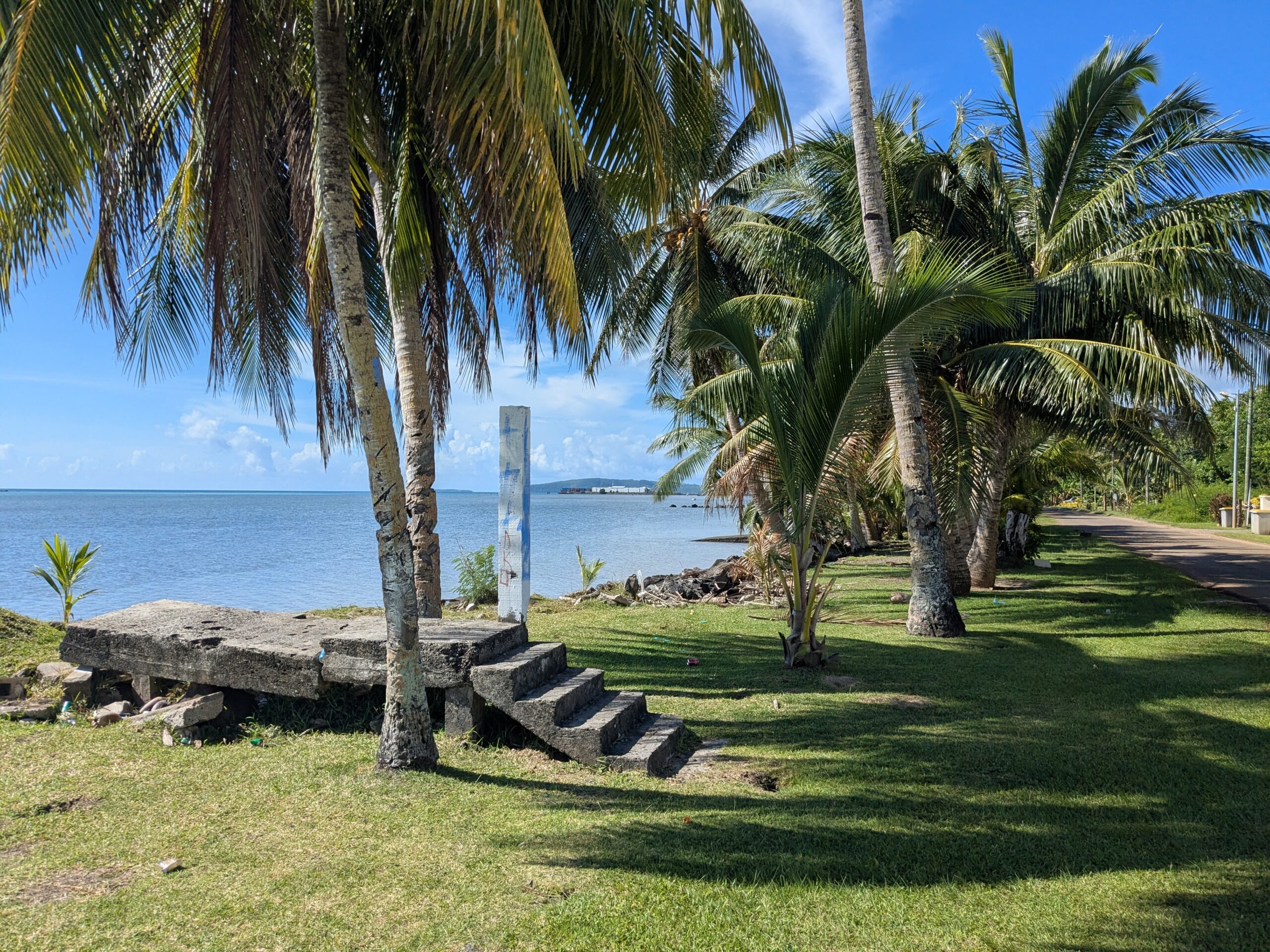 Docteur des Manchots